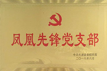 鳳凰先鋒黨支部