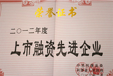 上市融資先進(jìn)企業(yè)